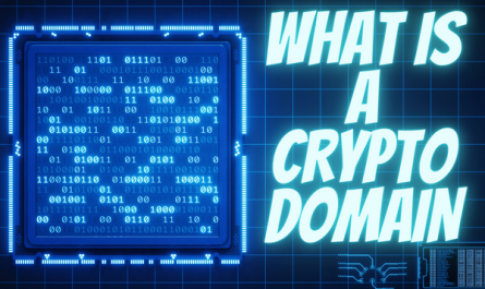WHAT IS A CRYPTO DOMAIN